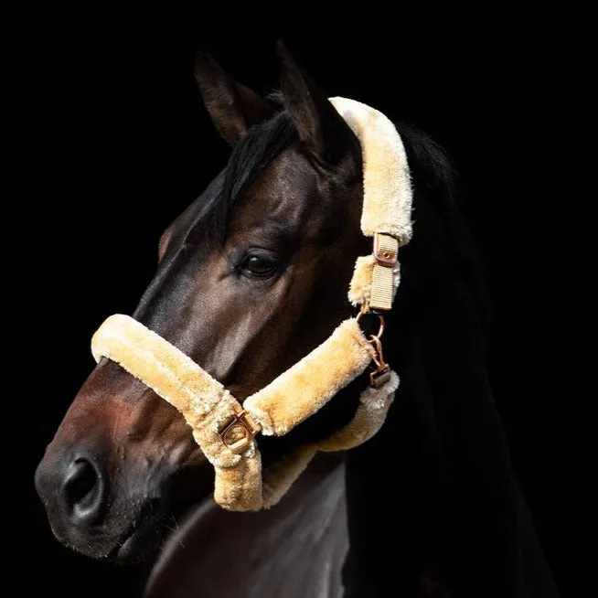 Licol doublé fourrure Imperial Riding Go Star
