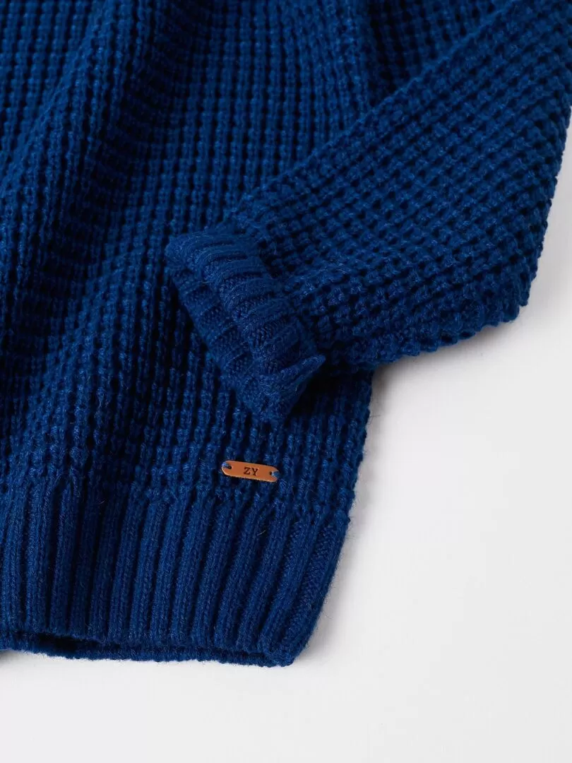 Pull en Maille Tricotée pour Garçon   LITERATURE CLUB - Bleu